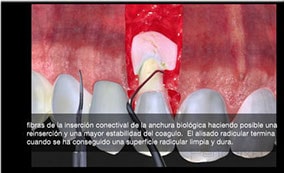 captura de pantalla 2014-01-26 123734