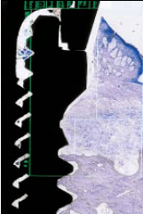 pastedGraphic_4.png