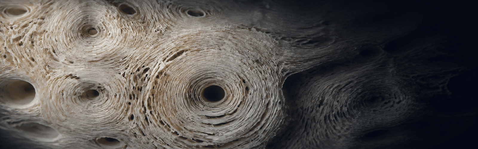 Abstract lamellar texture evoking dense cortical bone
