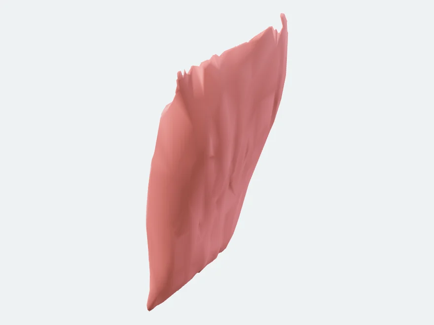Left Superficial part of masseter, isolated in the atlas