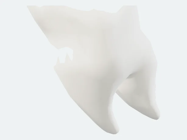 Left lower first secondary molar tooth, isolated in the atlas