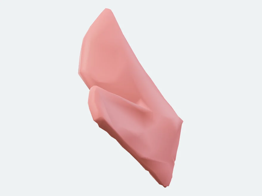 Left Medial pterygoid muscle, isolated in the atlas