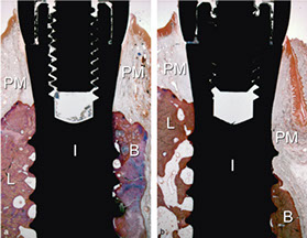 captura de pantalla 2012-05-07 a la(s) 154841