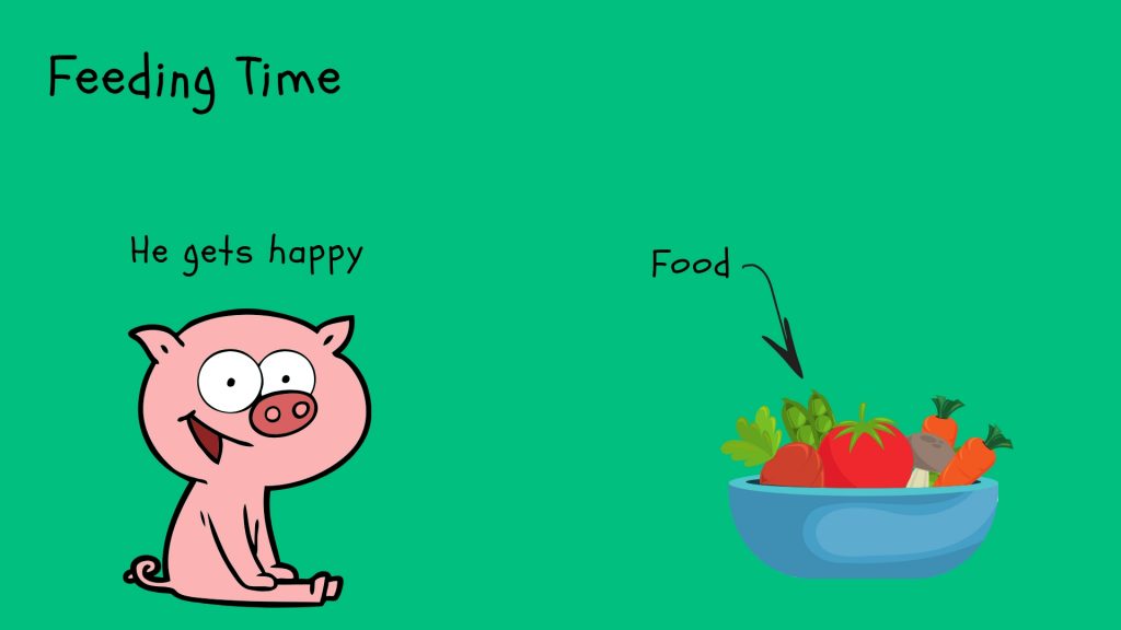 We are having a baby girl