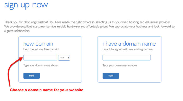 bluehost choose domain name